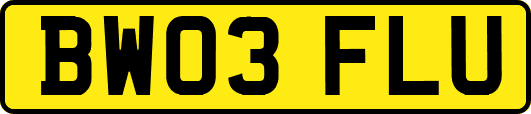 BW03FLU