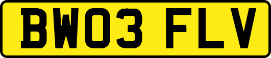 BW03FLV
