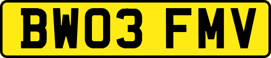 BW03FMV