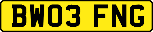 BW03FNG