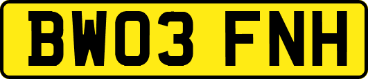 BW03FNH