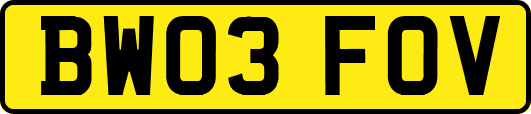 BW03FOV