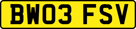 BW03FSV