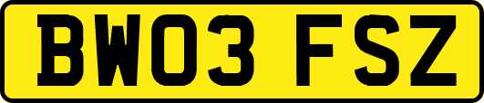 BW03FSZ