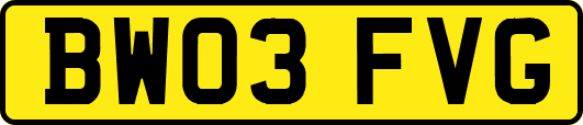 BW03FVG