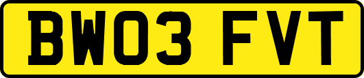 BW03FVT