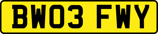 BW03FWY