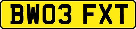 BW03FXT