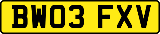 BW03FXV