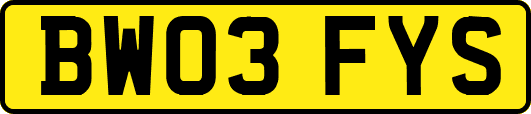 BW03FYS