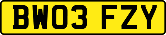 BW03FZY