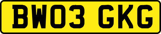 BW03GKG