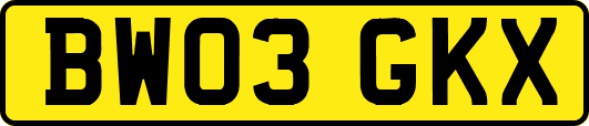 BW03GKX
