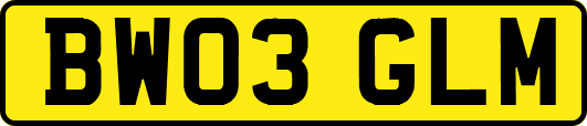 BW03GLM