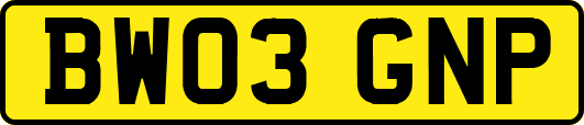BW03GNP