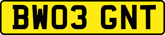 BW03GNT