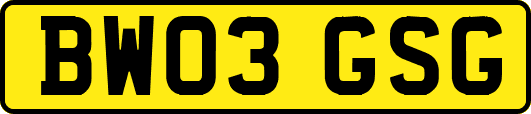 BW03GSG
