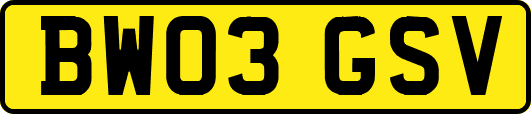 BW03GSV