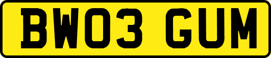 BW03GUM