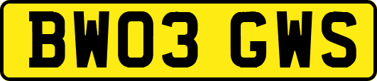 BW03GWS