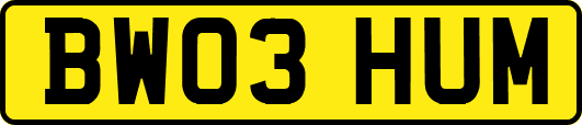 BW03HUM