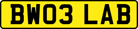 BW03LAB