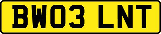 BW03LNT