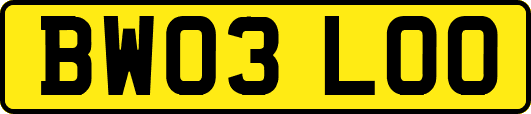 BW03LOO
