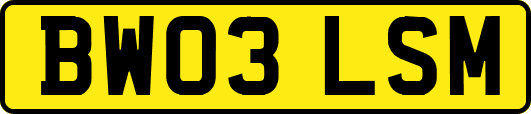 BW03LSM