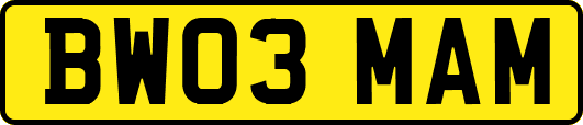 BW03MAM