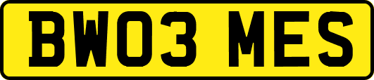 BW03MES