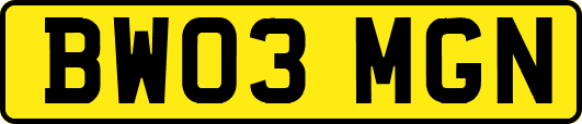 BW03MGN