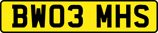 BW03MHS