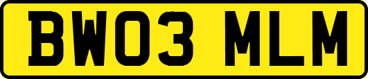 BW03MLM