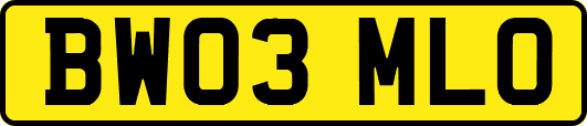 BW03MLO