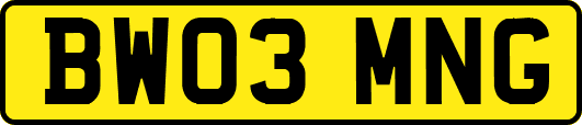 BW03MNG