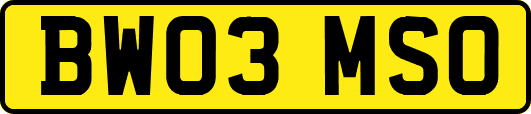 BW03MSO