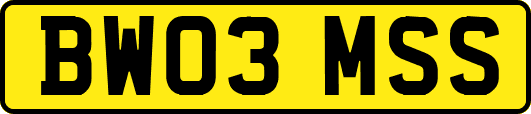 BW03MSS