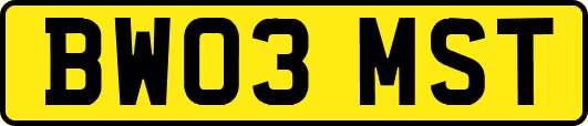 BW03MST