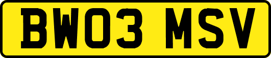 BW03MSV