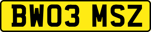 BW03MSZ