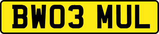 BW03MUL
