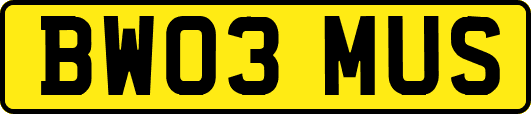 BW03MUS