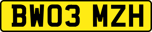 BW03MZH
