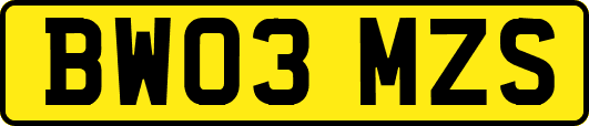 BW03MZS