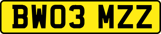BW03MZZ