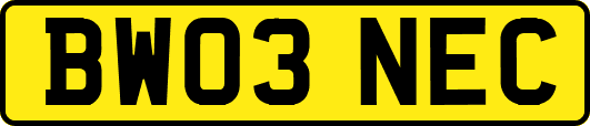 BW03NEC