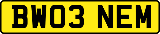 BW03NEM