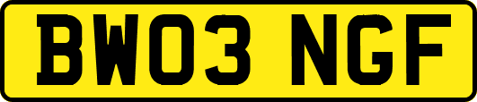 BW03NGF
