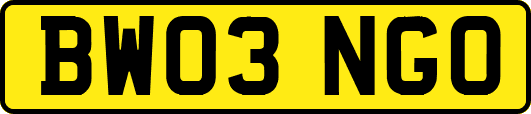 BW03NGO